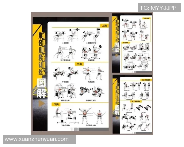 在家轻松锻炼胸肌的哑铃训练方法与技巧分享